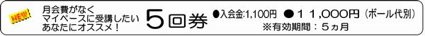 5回券